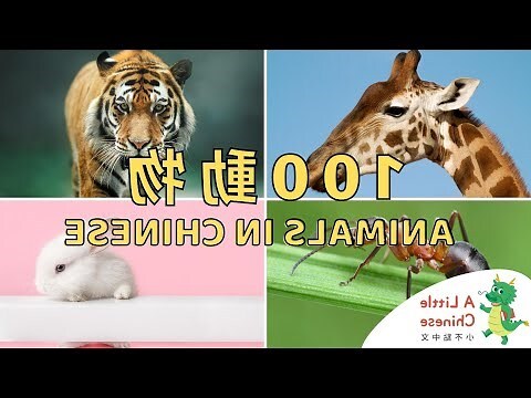 動物大全
