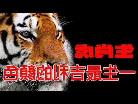 屬虎適合的顏色