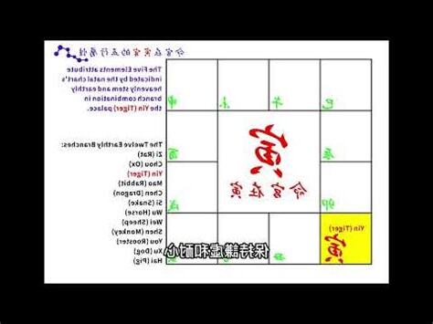 寅五行屬性