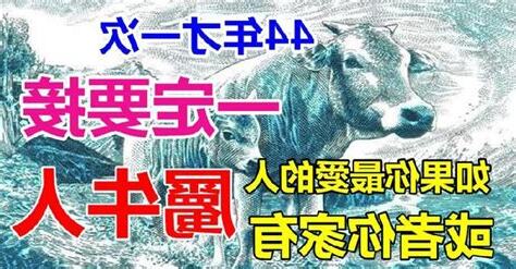 屬牛牀位