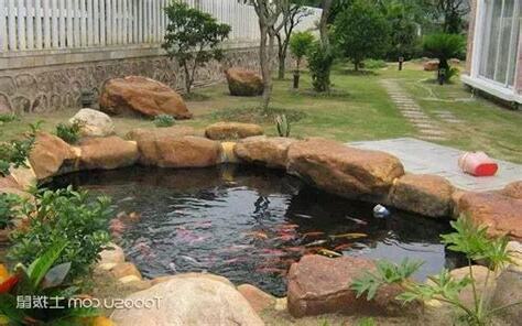 庭院魚池風水