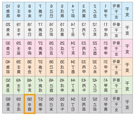 辛酉五行