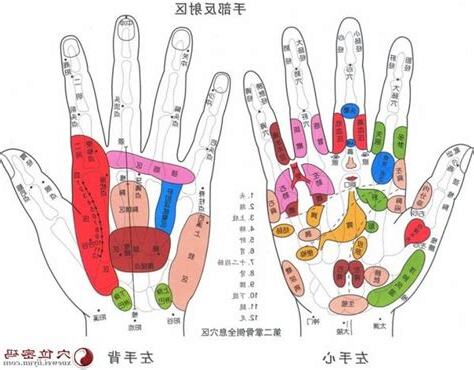 左手無名指穴道