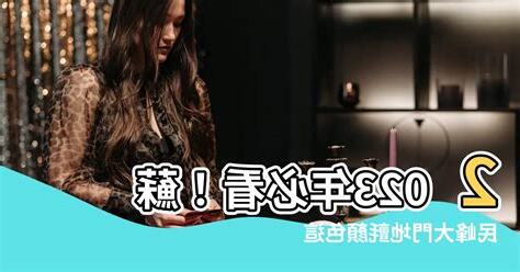 2023地氈顏色蘇民峯