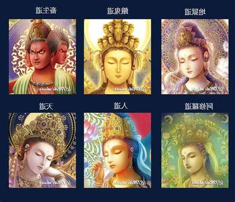 菩薩種類