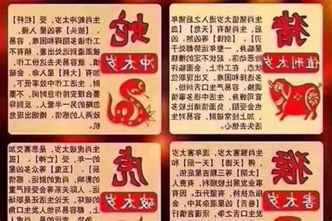 2007年是什么猪