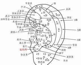左耳有痣