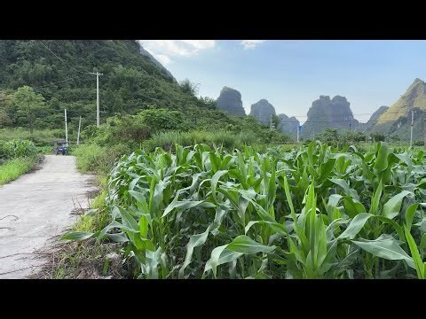 父母合葬墓碑碑文