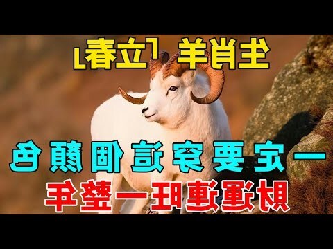 財運顏色