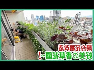 高樓陽台植物