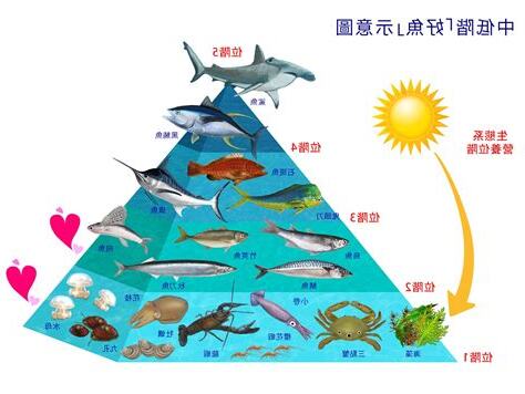 魚你的事