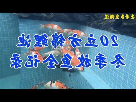 養魚理論