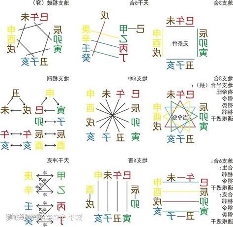 甲長意思