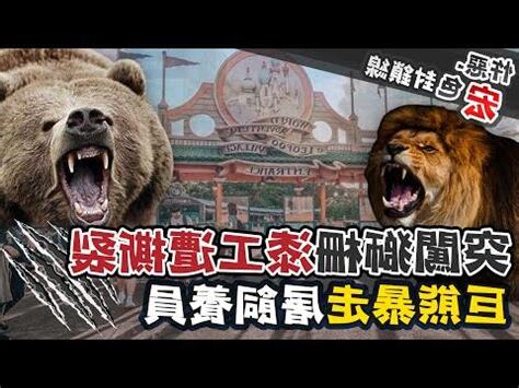 夢到猛獸