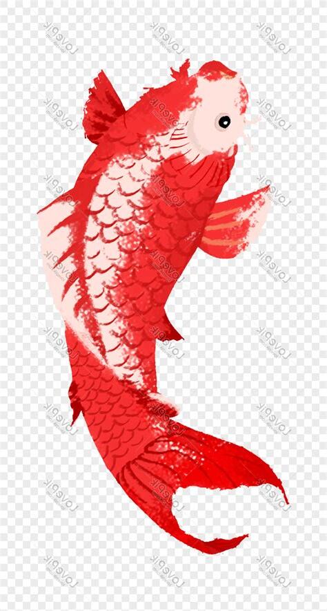 鯉魚圖畫