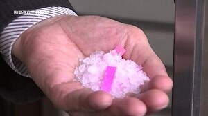米鹽避邪
