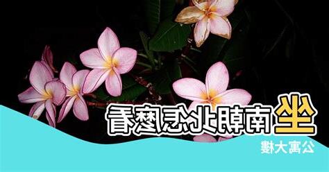 大樓風水怎麼看
