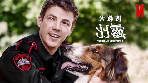 人犬一點通