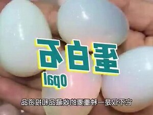 蛋白石種類