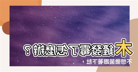 木鏟發黴怎麼辦