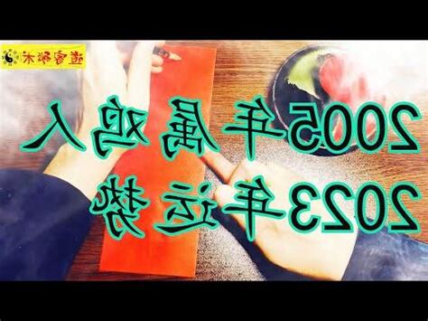 2005是什麼年