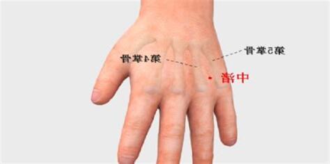 中主穴