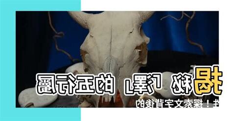 澤的五行