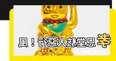 孝恩·姚