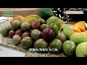 適合種在庭院的樹
