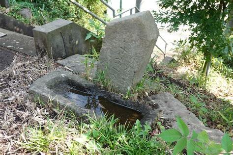 余大師