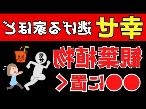 榆樹風水