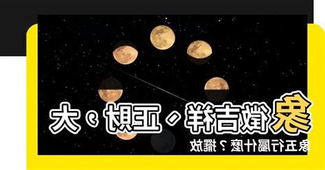 大象象徵什麼