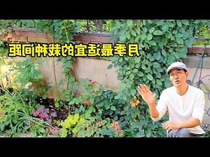 8月是什么季节