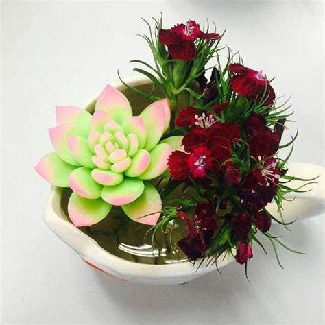 廁所盆栽風水