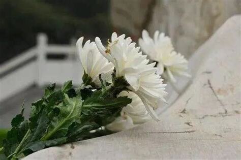 白事禁忌