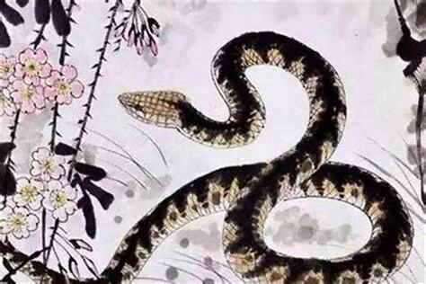 火蛇命