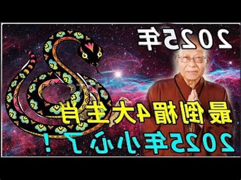 2025年屬什麼