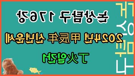 丁火2024