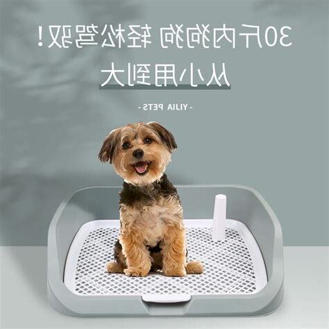 小狗尿尿