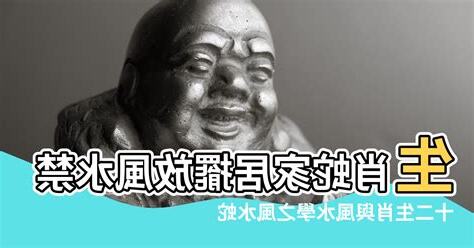 家裡有蛇風水