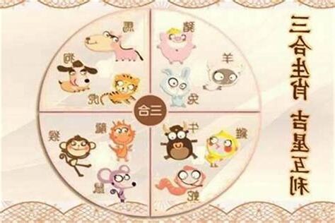 兔子的三合六合