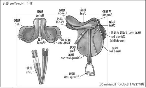 馬鞍