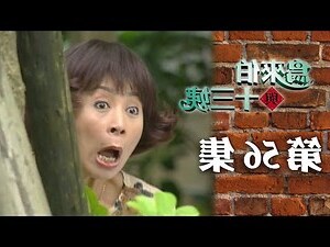 鳥飛來家裡代表