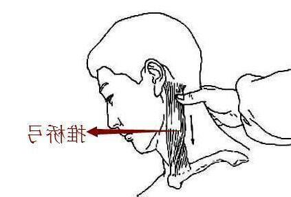橋弓穴位置