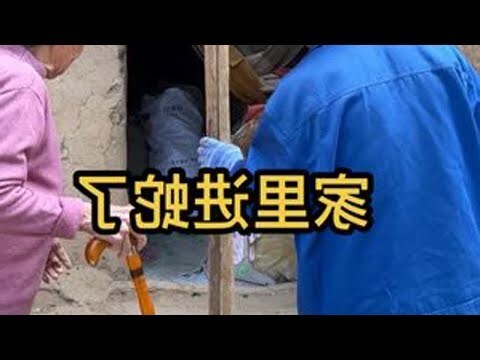 家里进蛇代表什么