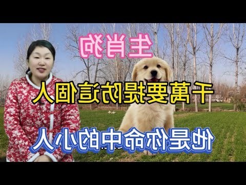 屬狗的小人