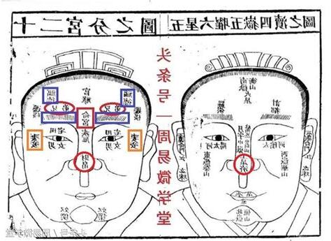 面相宮位