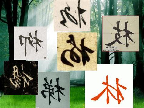 木字旁的字繁體