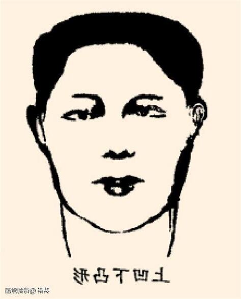 頭型面相