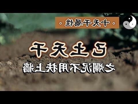 辰屬土